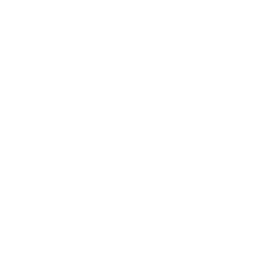 Ticket Tree Fun Logo